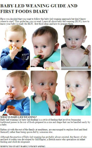 Baby Led Weaning Guide Screen 2
