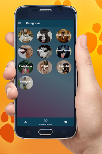 FONDOS DE PANTALLA DE PERROS Screen 2