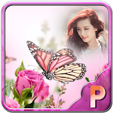 Pink Butterfly Photo Frames icon