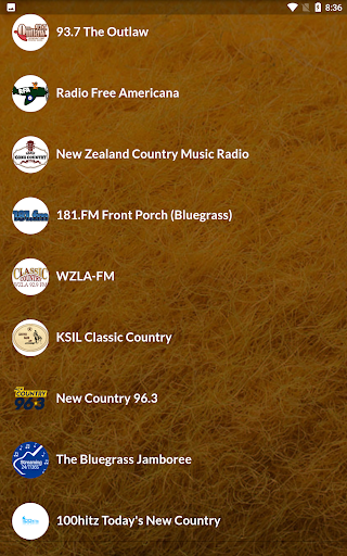 70+ Country Radios Screen 2