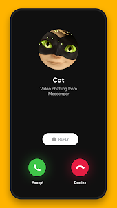 Black Cat Fake Video Call