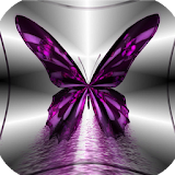 images of butterflies icon