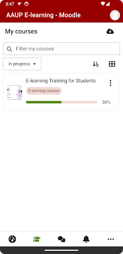 AAUP E-Learning Screen 2