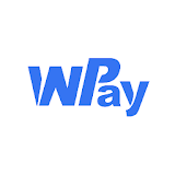WPay: Secure and fast online payment icon