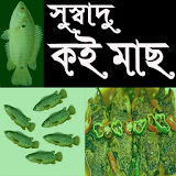 সুস্বাদু কই মাছ রান্না icon