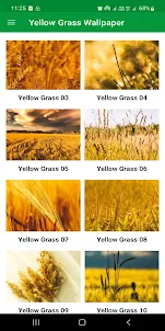 Yellow Grass Wallpaper