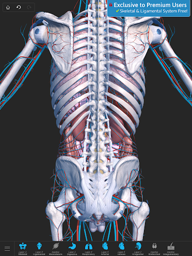 Screenshot of Visual Anatomy 3D - Human body