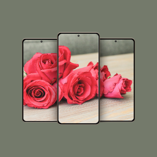 4K AMOLED Flowers Live HD Wallpaper  Backgrounds