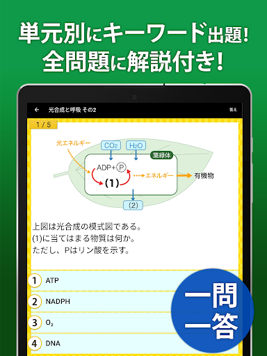 高校 生物 一問一答＆演習問題 - 高校生の勉強アプリ screenshot 5