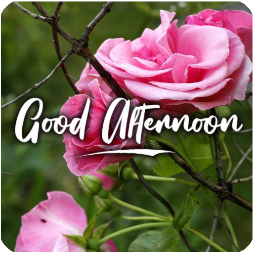 Happy Sunset And Good Afternoon Apps On Google Play