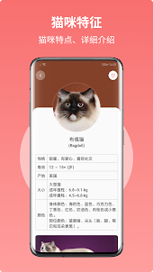 猫咪百科：猫咪品种介绍，猫语翻译，猫咪食物查询