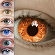 Eye Color Changer & Color Studio Download on Windows