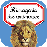 Imagerie animaux Interactive icon
