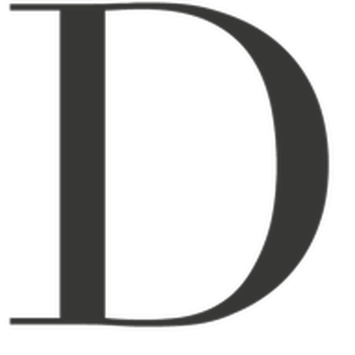 Dyzzi Store logo