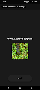 Green Anaconda Wallpaper