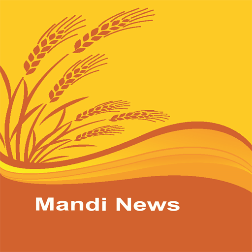 Mandi News logo