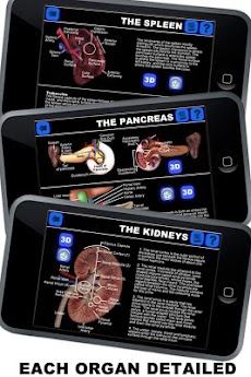 Anatomy 3D: Organsのおすすめ画像1