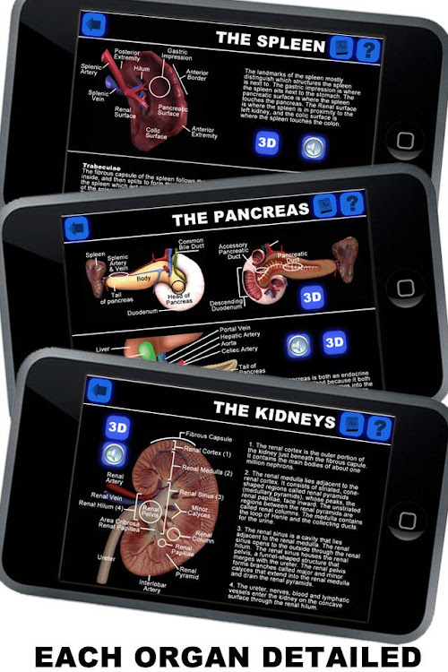 Anatomy 3D: Organs - 1.0.6 - (Android)