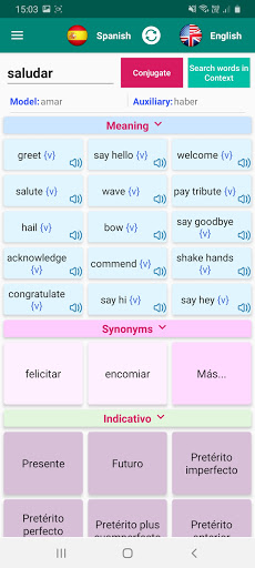 Spanish Verb Conjugation Screen 3