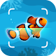 Fish Identification - Fish Id Download on Windows