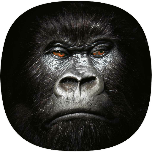 Gorilla Sounds logo