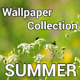 SummerPaper HD icon