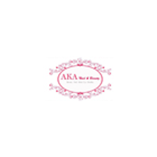 Aka ERP logo