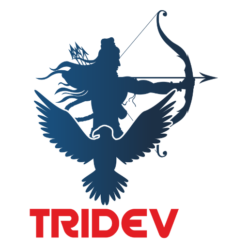 Tridevstudy logo