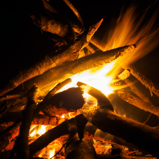 Bonfire Sound logo