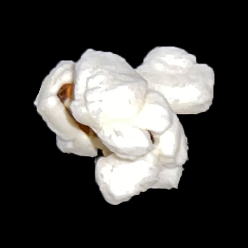 PopcornFun logo
