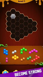 Hexa Puzzle - Blocks Game