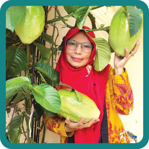 TEBAK BUAH BAHASA GAYO