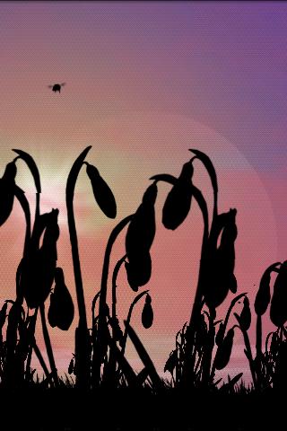 Snowdrops Lite Screen 2
