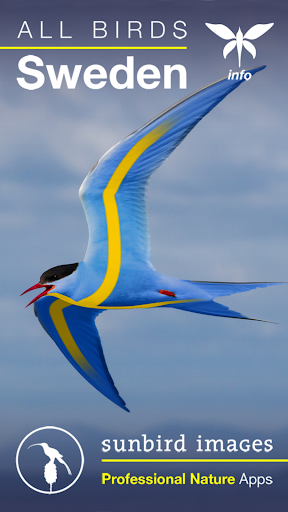 Android application All Birds Sweden - A Sunbird F screenshort