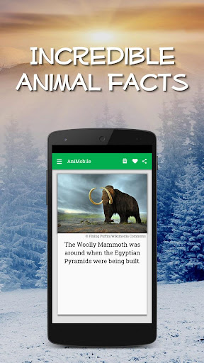 Android application Daily Animal Facts and Pics screenshort