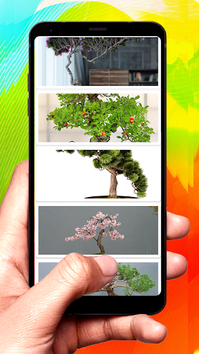 Bonsai Design Ideas Screen 3