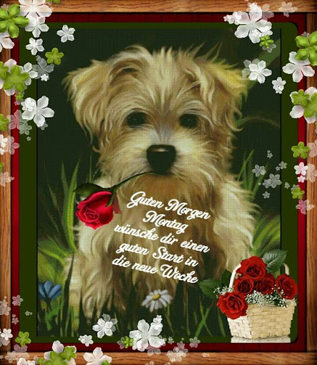 Guten Morgen am Montag