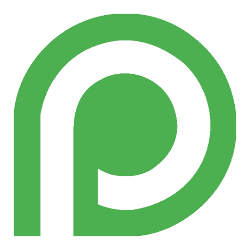 PP Wallet Paypal to Easypaisa 1 Icon