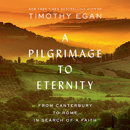 Icon image A Pilgrimage to Eternity: From Canterbury to Rome in Search of a Faith