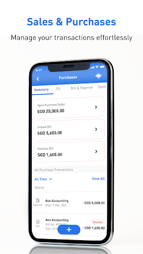 Easy Accounts Screen 3