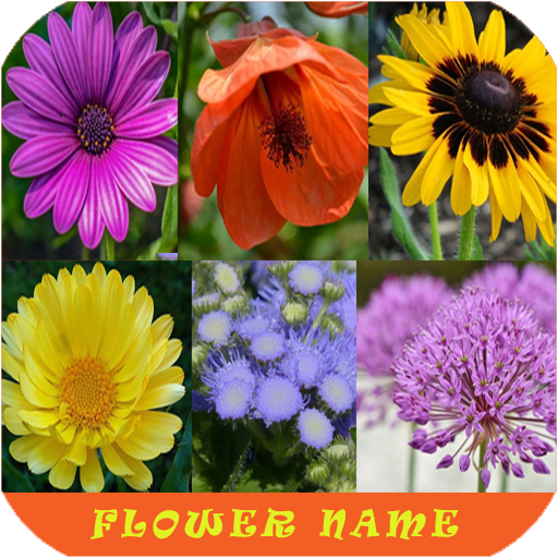 Learn Flower Name  Icon