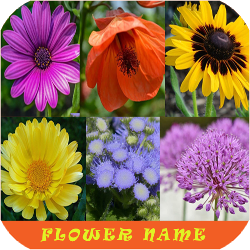 Learn Flower Name logo