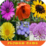 Learn Flower Name icon