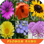 Learn Flower Name Apk