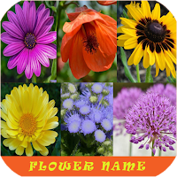 Learn Flower Name