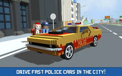塊狀警察司機：刑事運輸
