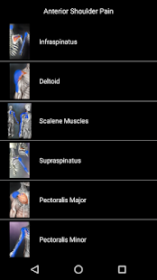 Muscle Trigger Point Anatomy Screenshot