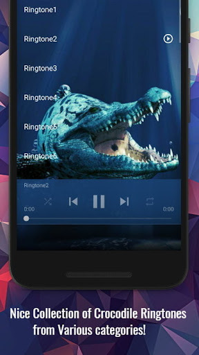 Crocodile Sounds Screen 2