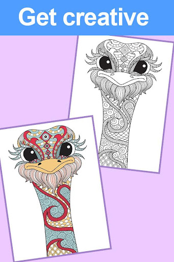 Antistress Coloring Book Adult