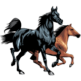 Horse breeds - Photos icon